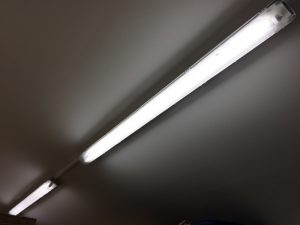 BV Firma Ihle, Waldstr. in Eichwalde