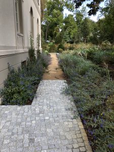 BV Königsallee am 19.9.19