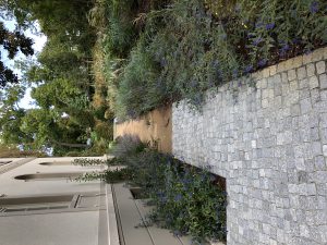 BV Königsallee am 19.9.19